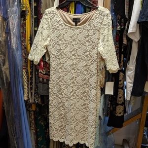 NWT ivory lace dress